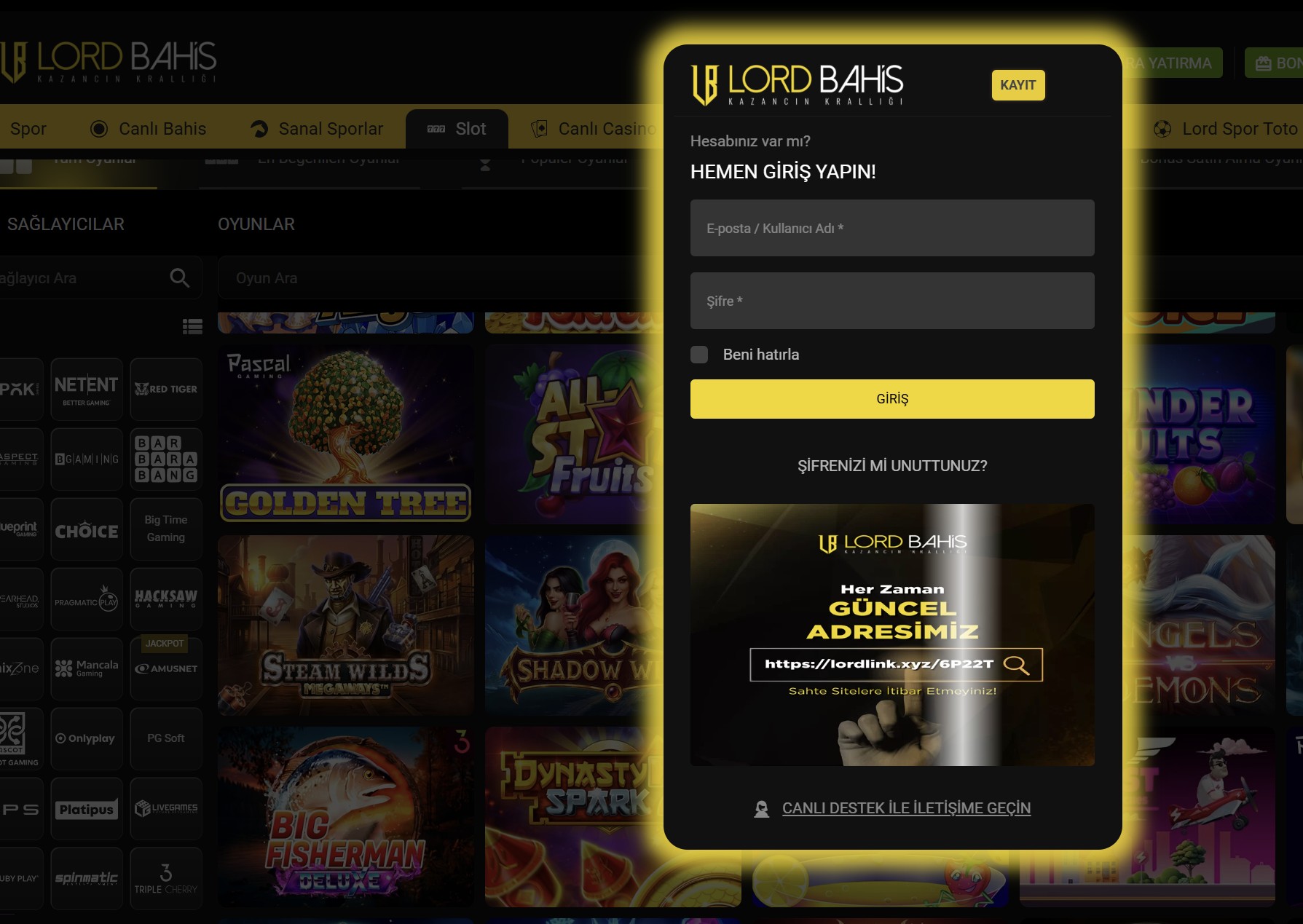 lordbahis giriş
